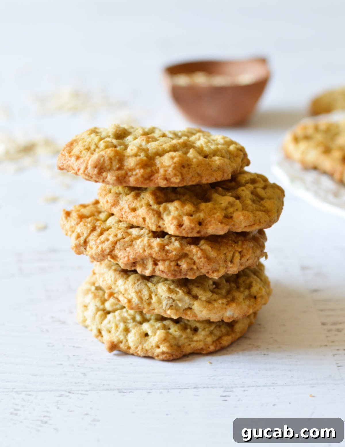 Soft and Chewy Oatmeal Bliss 12 a stack of perfectly baked soft and chewy oatmeal cookies