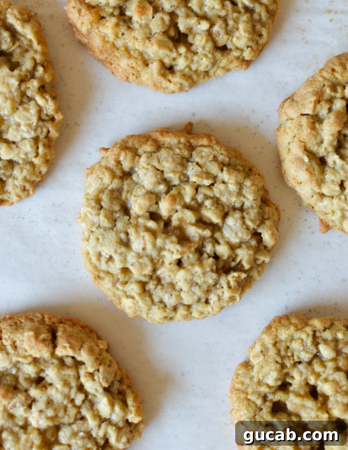 Soft and Chewy Oatmeal Bliss 13 close up of an oatmeal cookie, showcasing its soft and chewy texture with oats visible