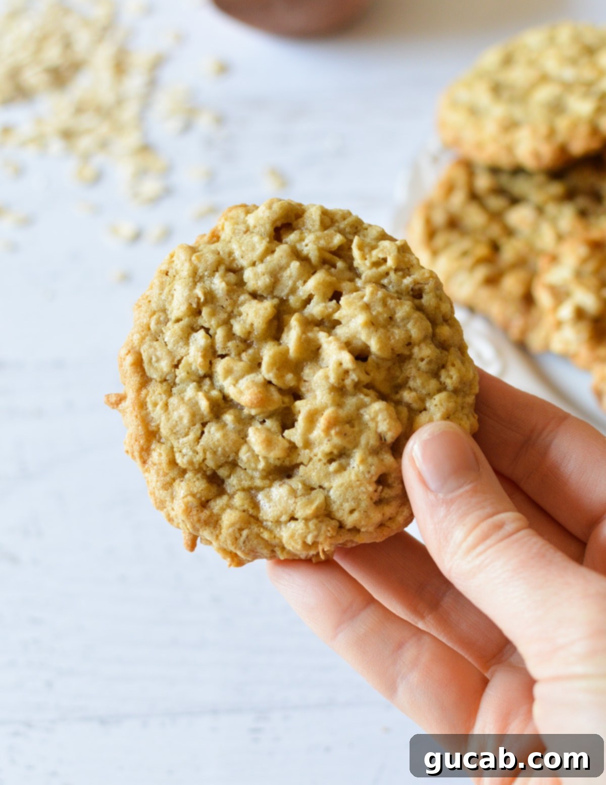 Soft and Chewy Oatmeal Bliss 14 hand holding a perfectly baked, soft and chewy oatmeal cookie