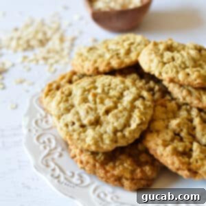 Soft and Chewy Oatmeal Bliss 15 oatmeal cookies on a plate.