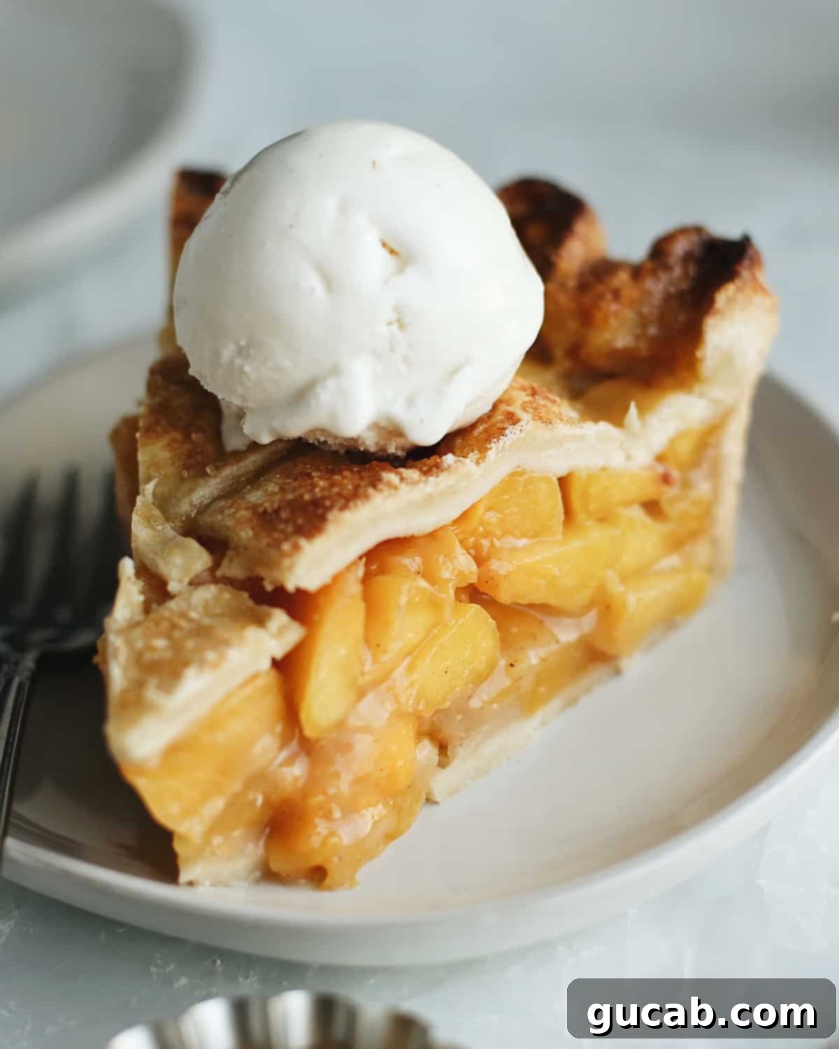 Sweet Chill: 15 Irresistible Frozen Peach Recipes 14 a slice of peach pie.