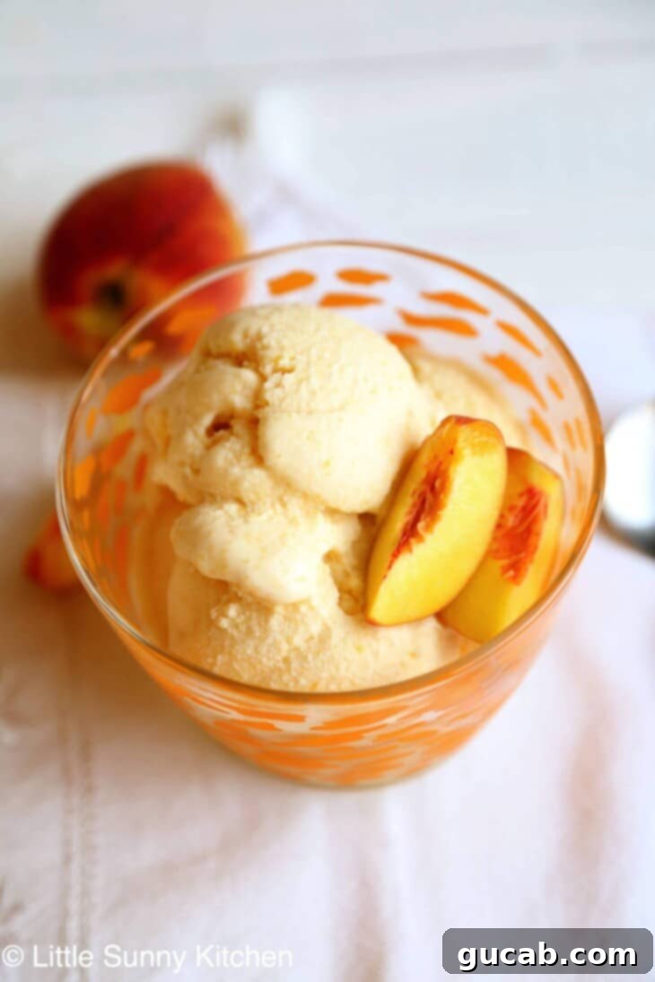 Sweet Chill: 15 Irresistible Frozen Peach Recipes 15 peach ice cream in a bowl.