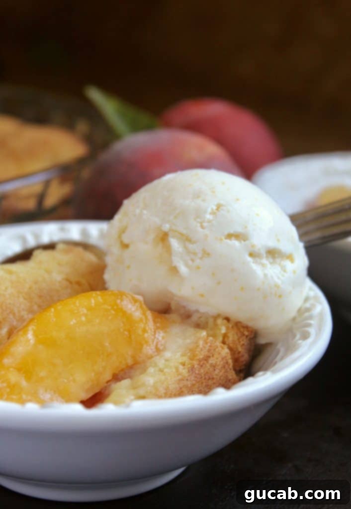 Sweet Chill: 15 Irresistible Frozen Peach Recipes 6 peach cobbler with ice cream on top.