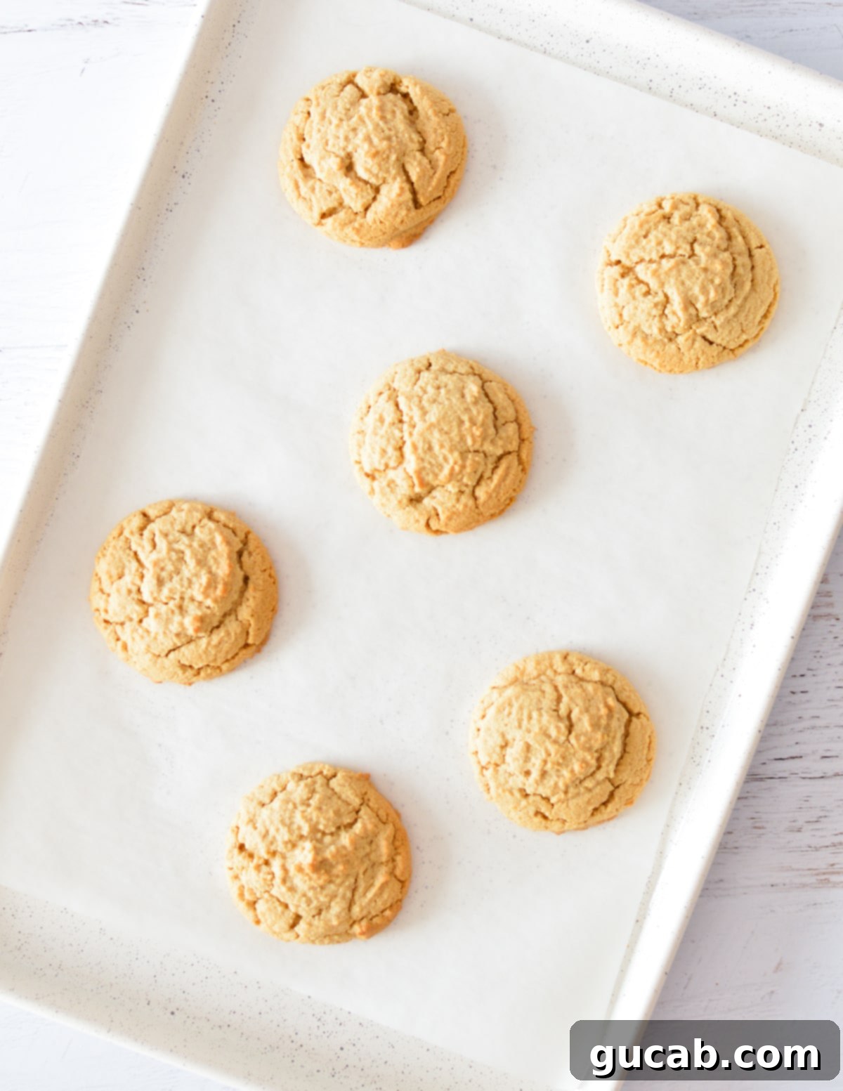 Freshly baked peanut butter cookies on a sheet pan, showing golden edges and slightly soft centers.