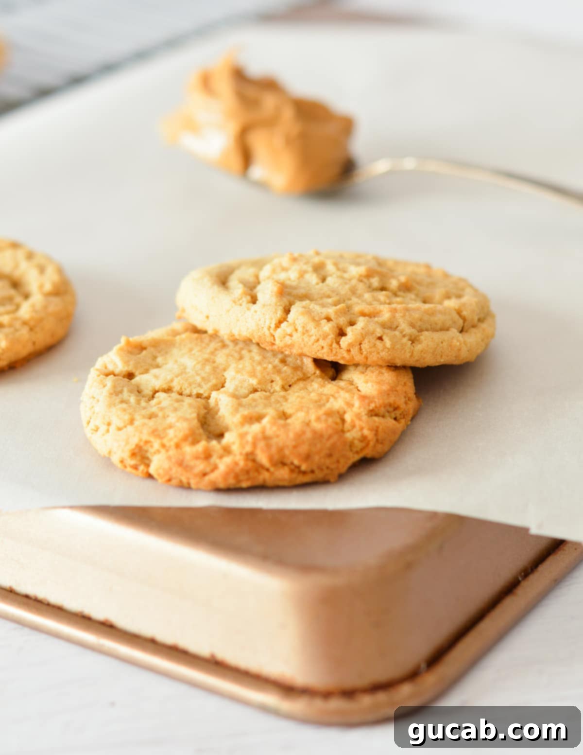 Soft & Chewy Peanut Butter Delights 12 Two perfectly baked soft and chewy peanut butter cookies resting on a sheet pan, ready to be cooled.
