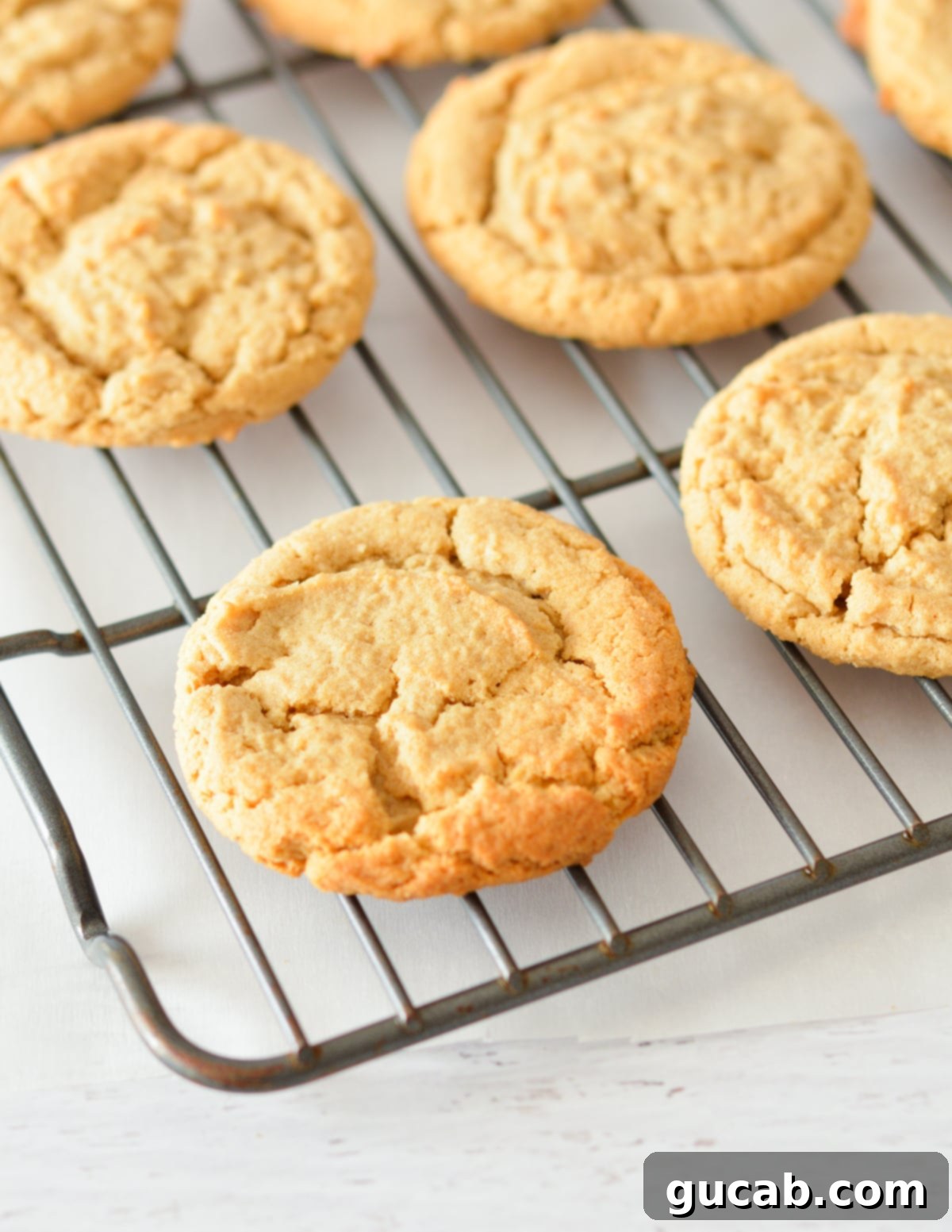 Peanut butter cookies cooling on a wire rack, showcasing their soft texture and golden-brown edges.