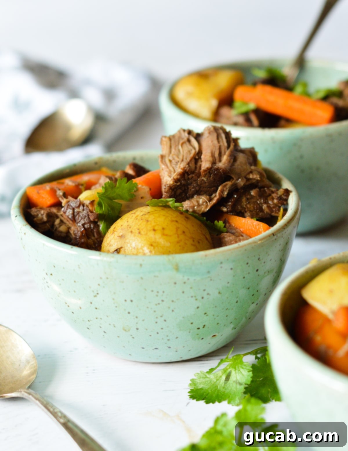 a bowl of pot roast. 