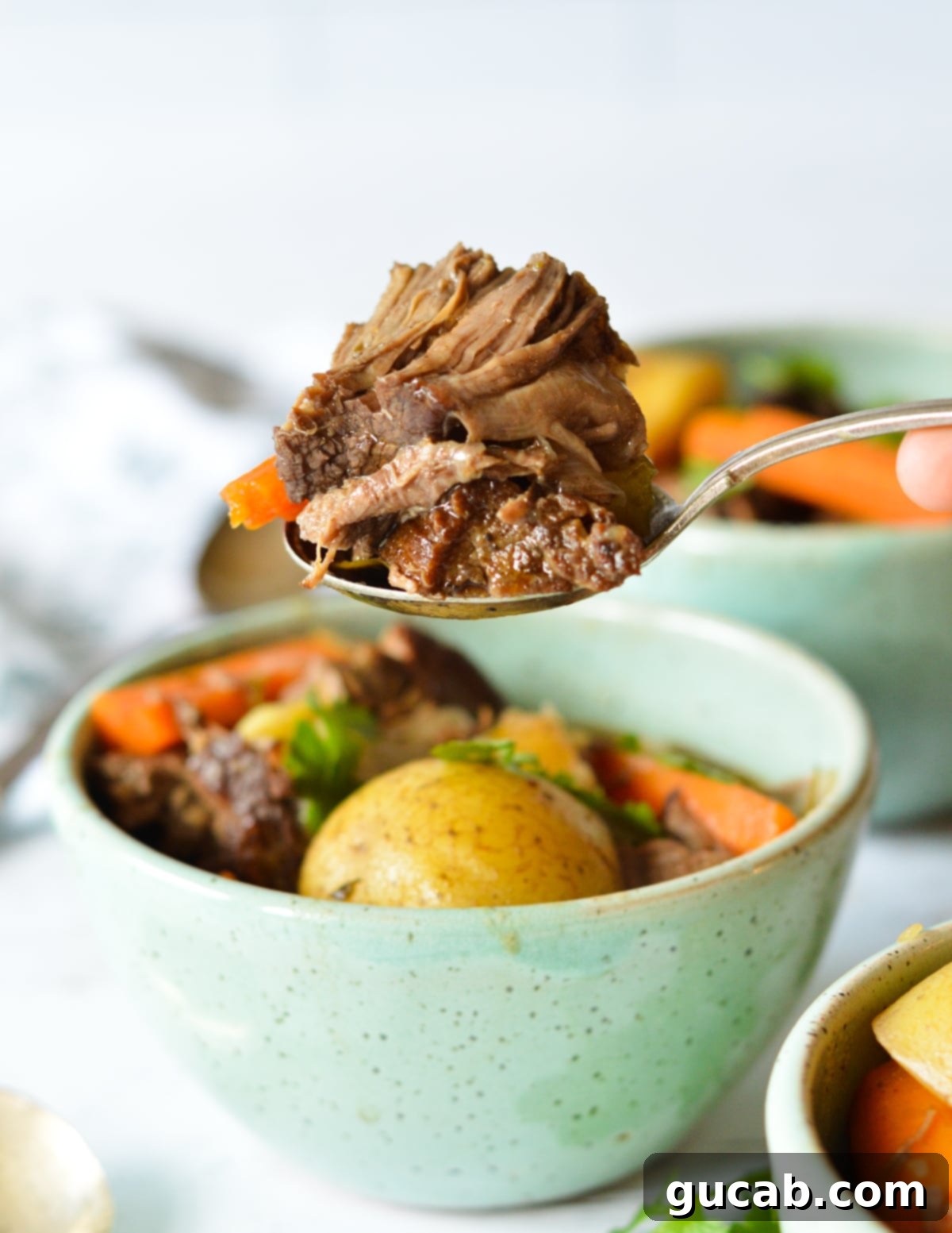 a spoonful of pot roast. 