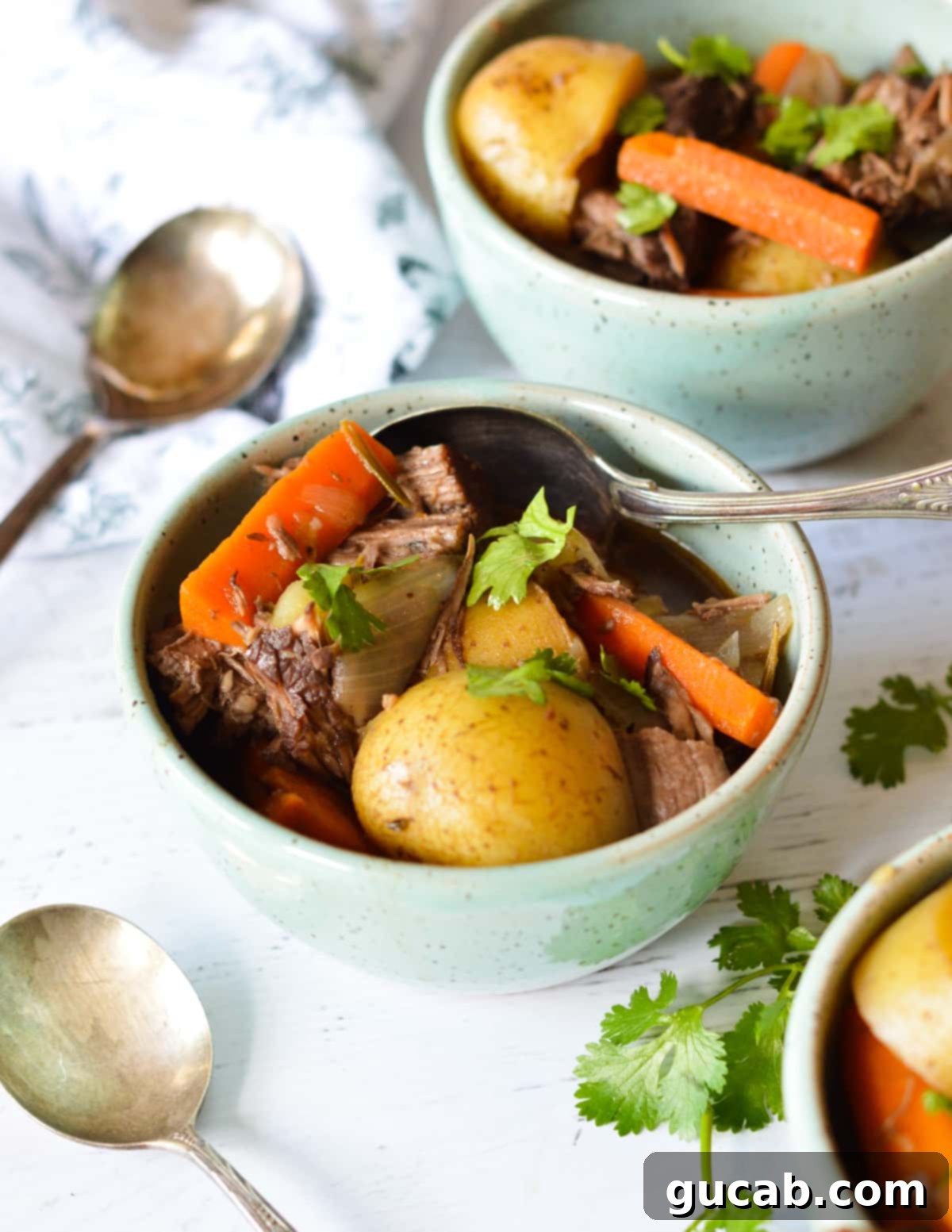 a bowl of pot roast. 