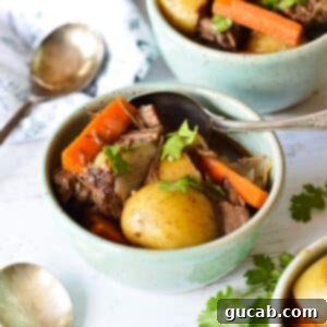 a bowl of pot roast