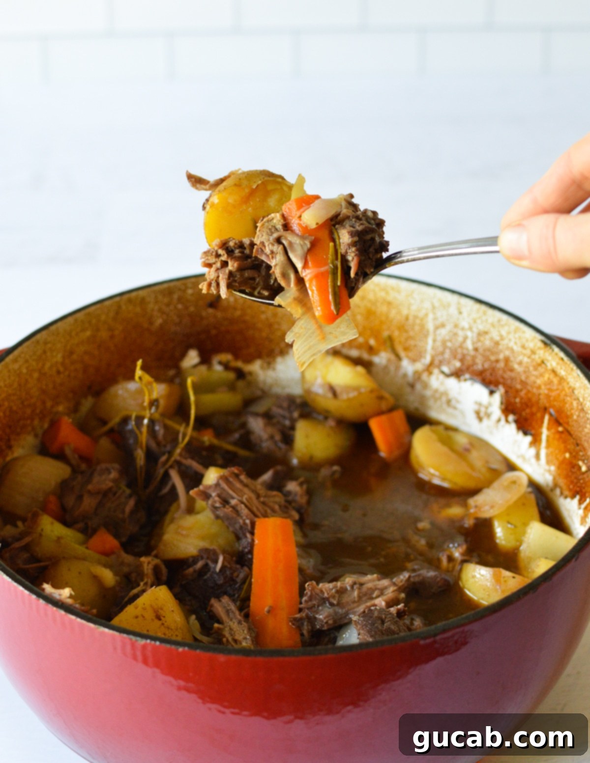 a spoonful of pot roast. 
