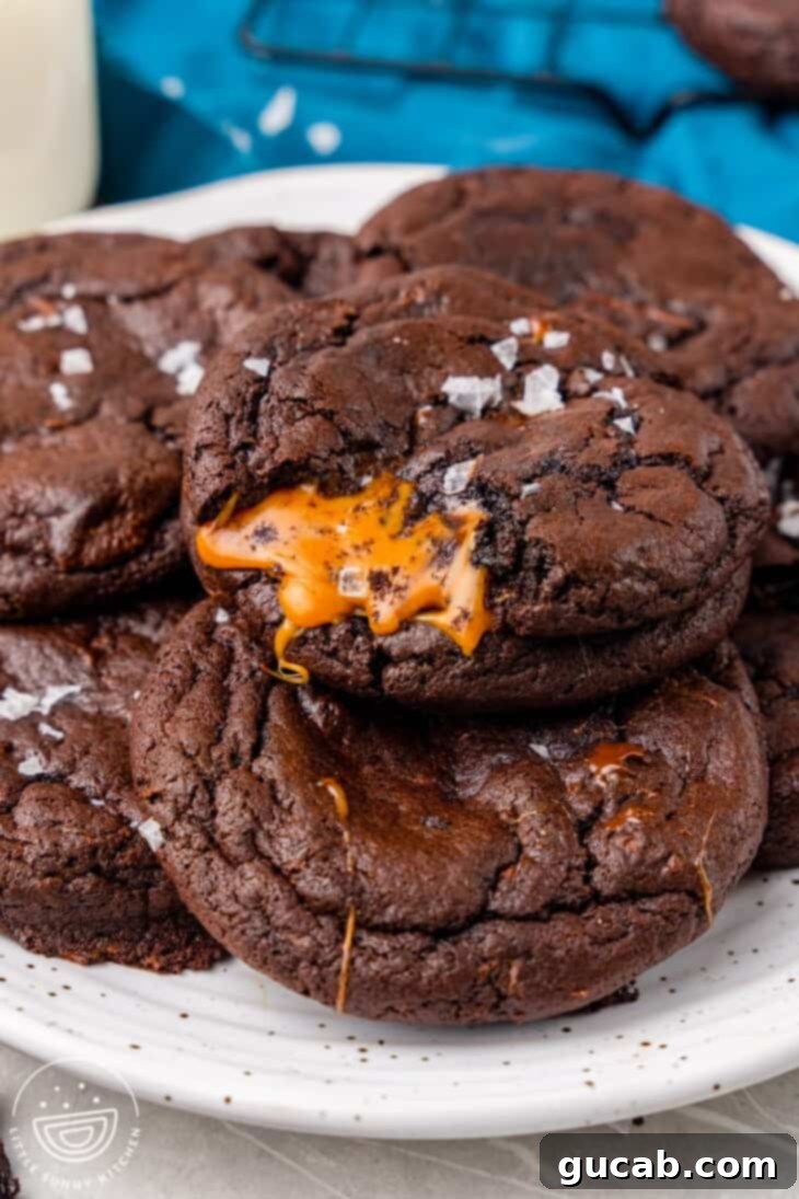 Next-Level Cookies: 25 Recipes You Need to Bake 15 A plate of decadent chocolate caramel cookies, one with a bite taken out.