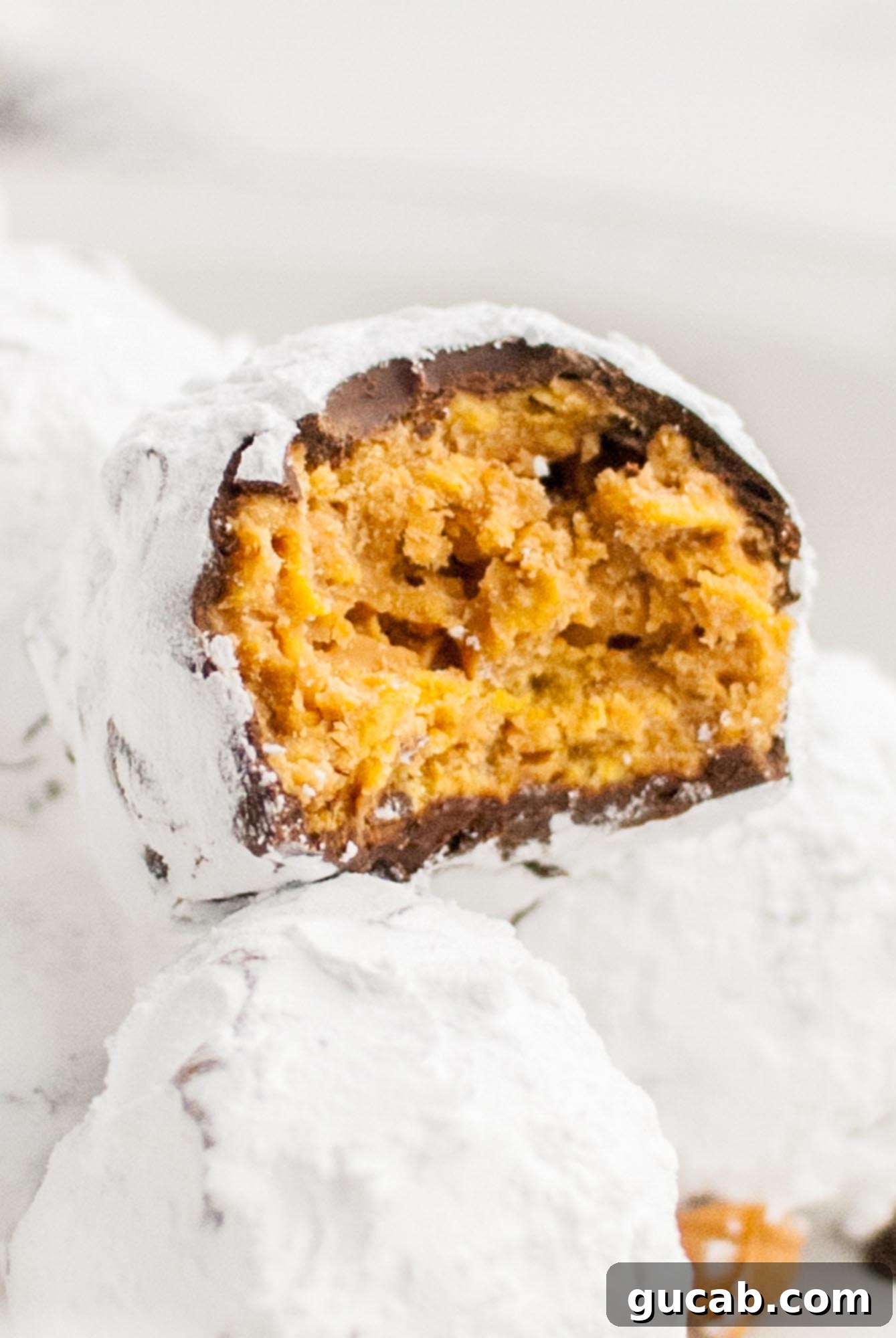 Next-Level Cookies: 25 Recipes You Need to Bake 16 A bite-sized scotcheroo truffle, revealing its delicious layers.