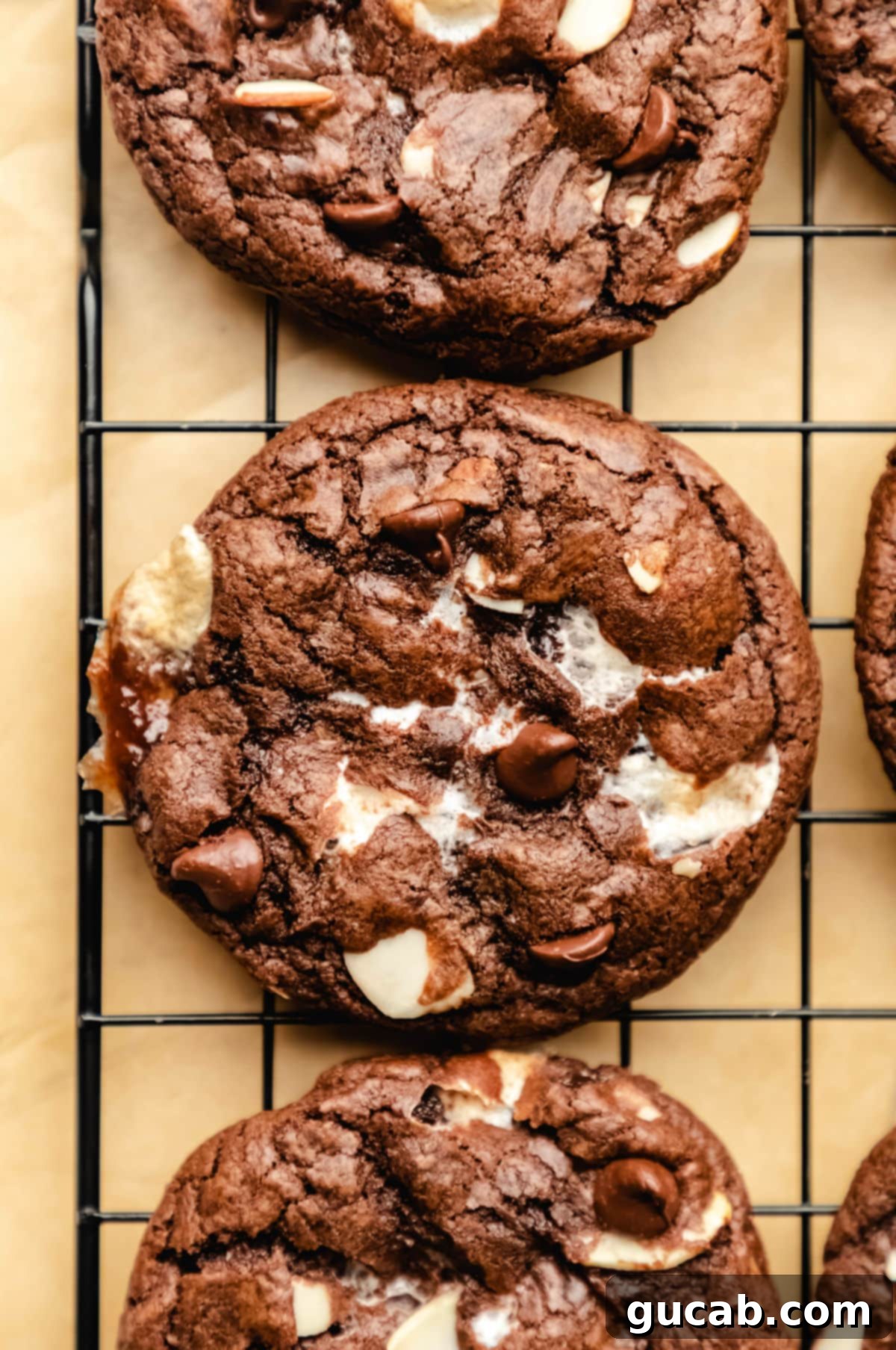 Next-Level Cookies: 25 Recipes You Need to Bake 20 Rocky road cookies cooling on a wire rack, showing off marshmallows and nuts.