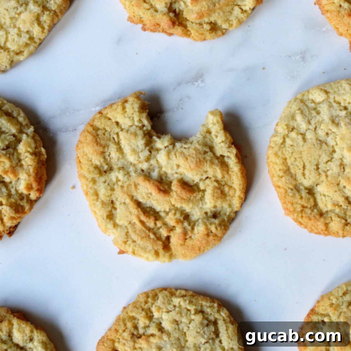 Next-Level Cookies: 25 Recipes You Need to Bake 24 A coconut flour oatmeal cookie with a bite taken out, revealing its texture.