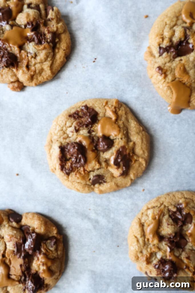 Next-Level Cookies: 25 Recipes You Need to Bake 25 Biscoff and chocolate chip cookies, beautifully arranged.