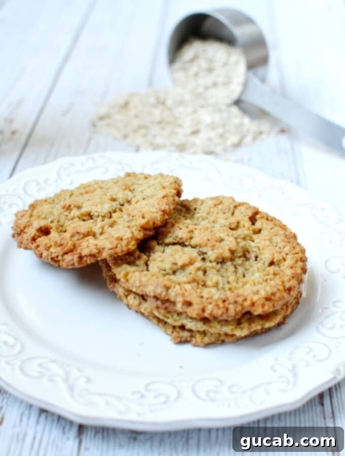 Next-Level Cookies: 25 Recipes You Need to Bake 26 A plate of perfectly textured flourless oatmeal cookies.