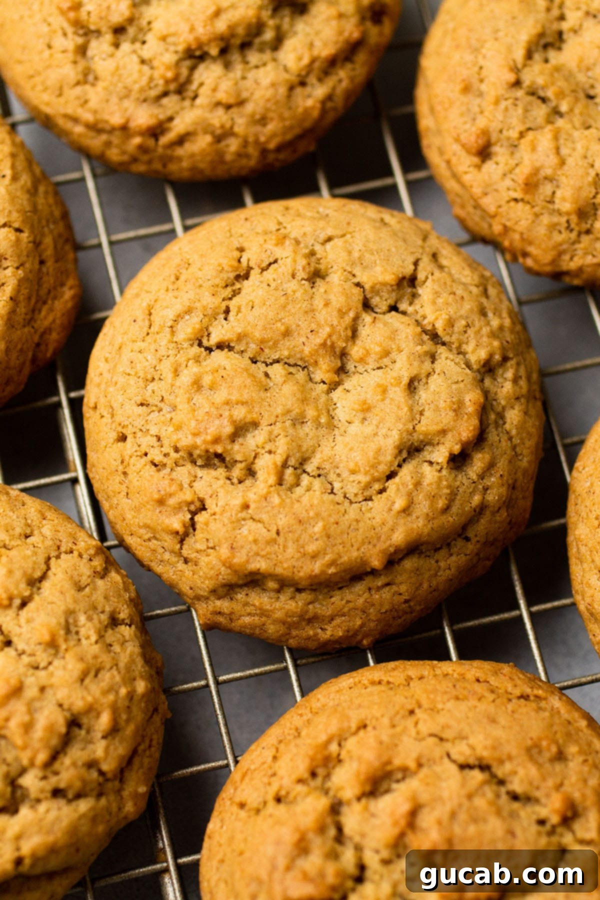 Next-Level Cookies: 25 Recipes You Need to Bake 7 Perfectly baked cinnamon brown sugar cookies, dusted with sugar.