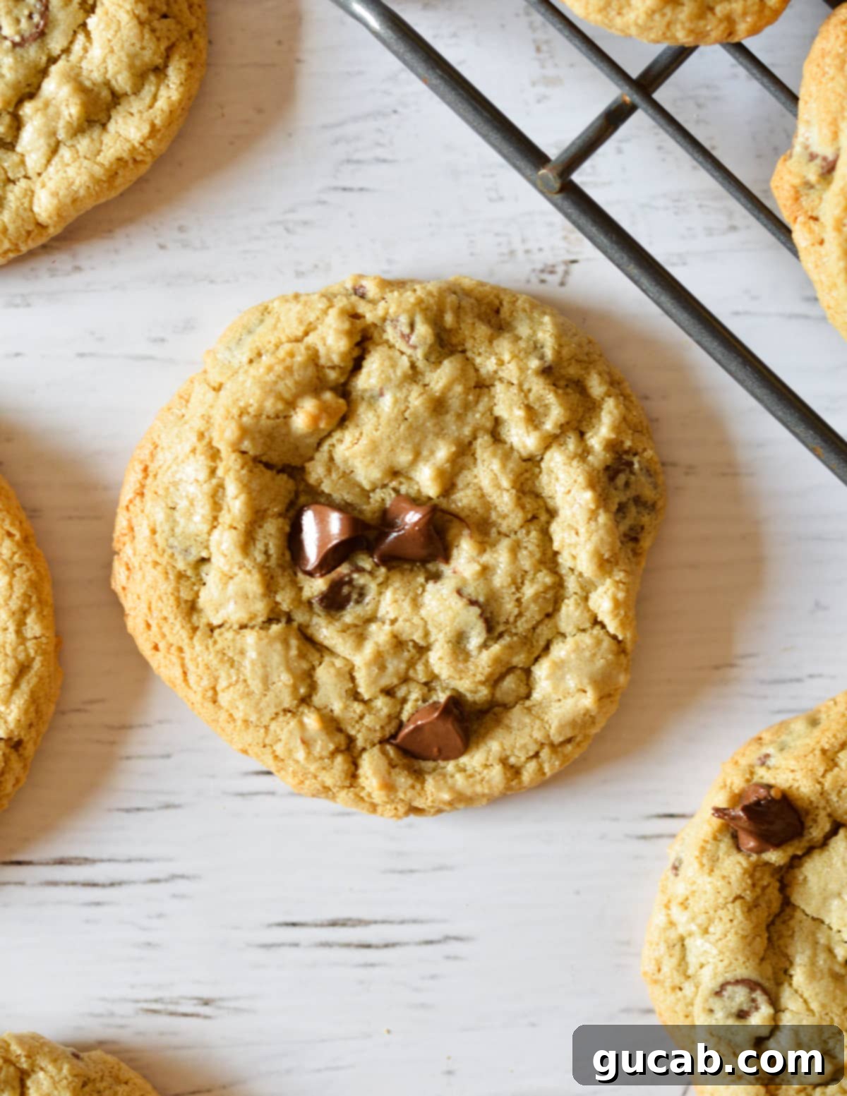 Close-up of a freshly baked oat flour chocolate chip cookie with a gooey center and melted chocolate chips.