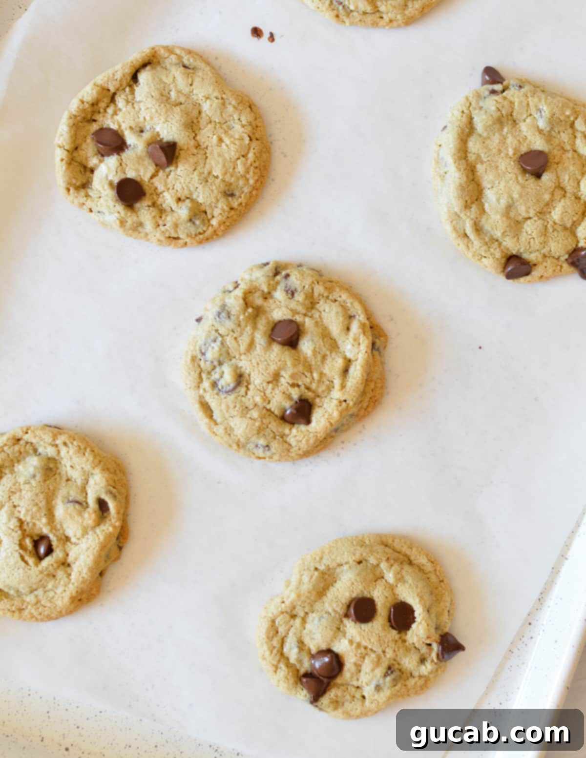 Freshly baked oat flour chocolate chip cookies on a sheet pan, with golden edges and soft centers.