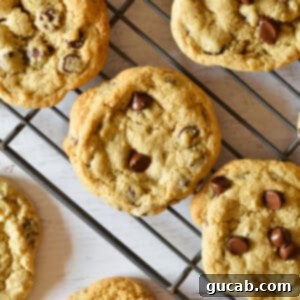 oat flour chocolate chip cookies on wire rack.