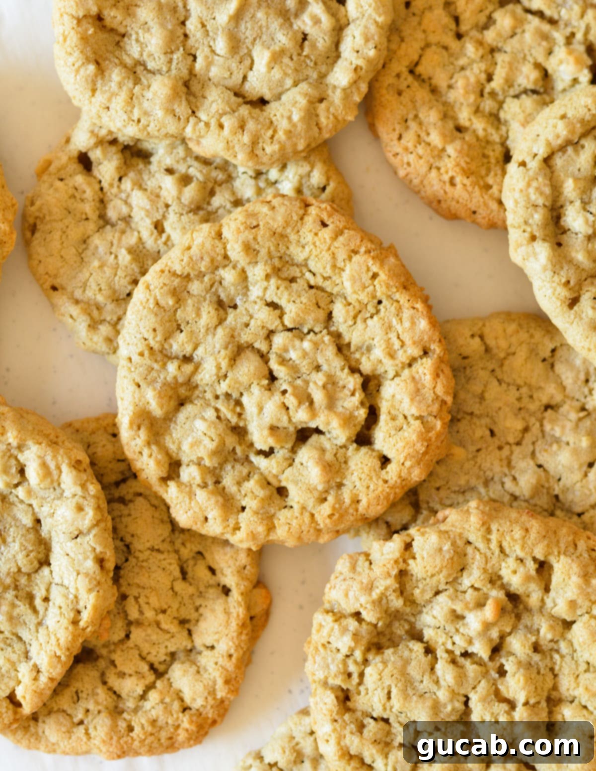oatmeal cookies on top of each other. 