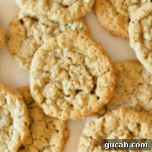 a stack of oatmeal cookies.