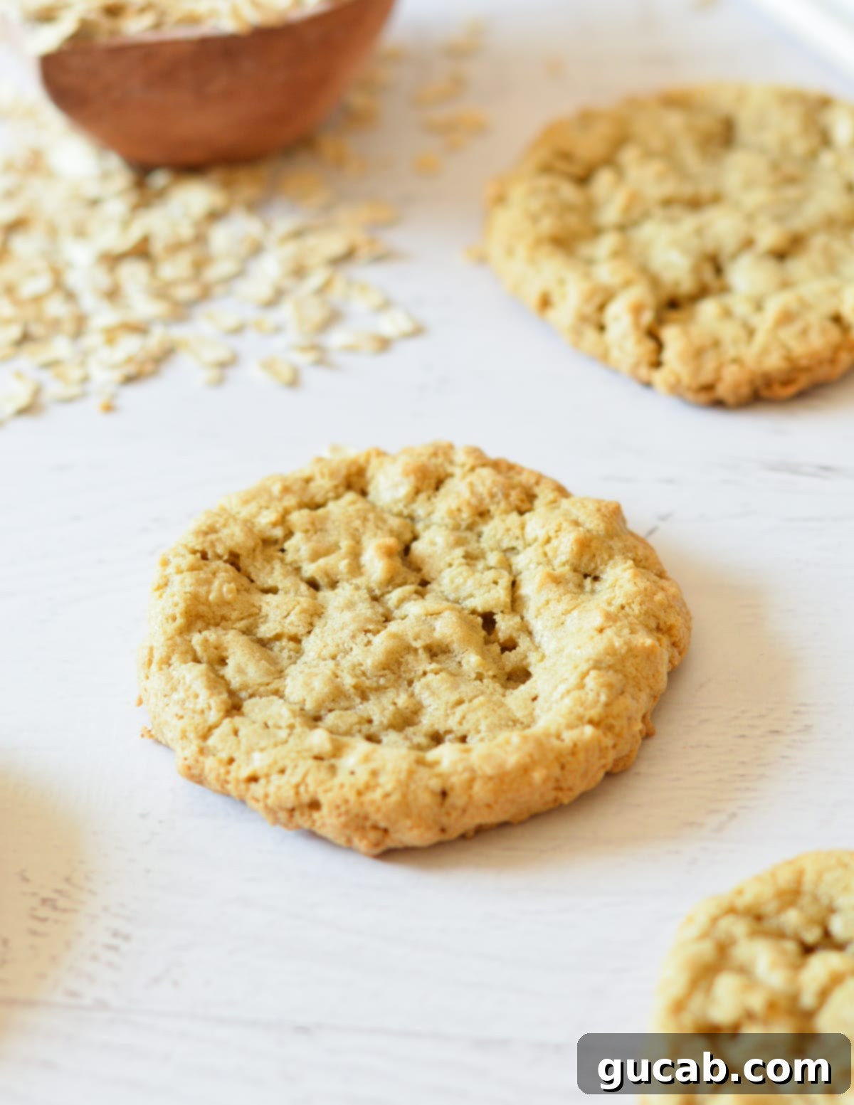 oatmeal cookie on counter. 