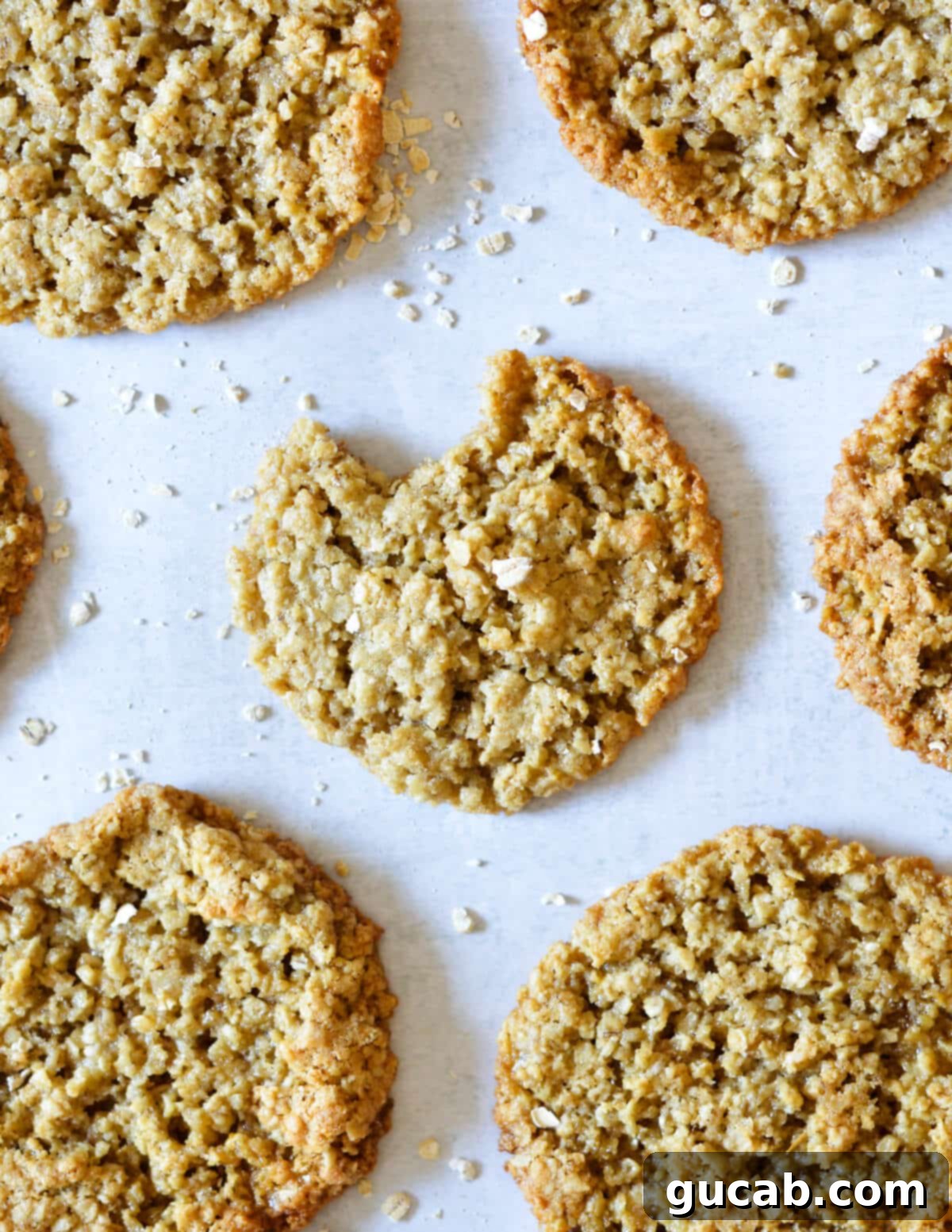 Gluten-Free Oatmeal Cookies 2 A perfectly baked oatmeal cookie with a bite taken out, showcasing its chewy texture.