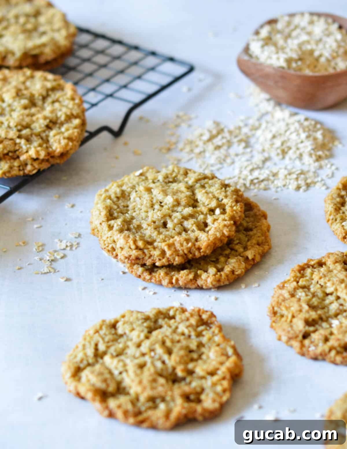 Gluten-Free Oatmeal Cookies 13 A perfectly stacked tower of chewy flourless oatmeal cookies, showcasing their golden-brown edges and inviting texture.