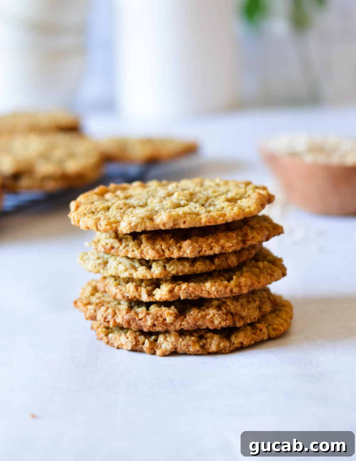 Gluten-Free Oatmeal Cookies 14 A stack of golden-brown flourless oatmeal cookies, invitingly chewy and perfectly baked.