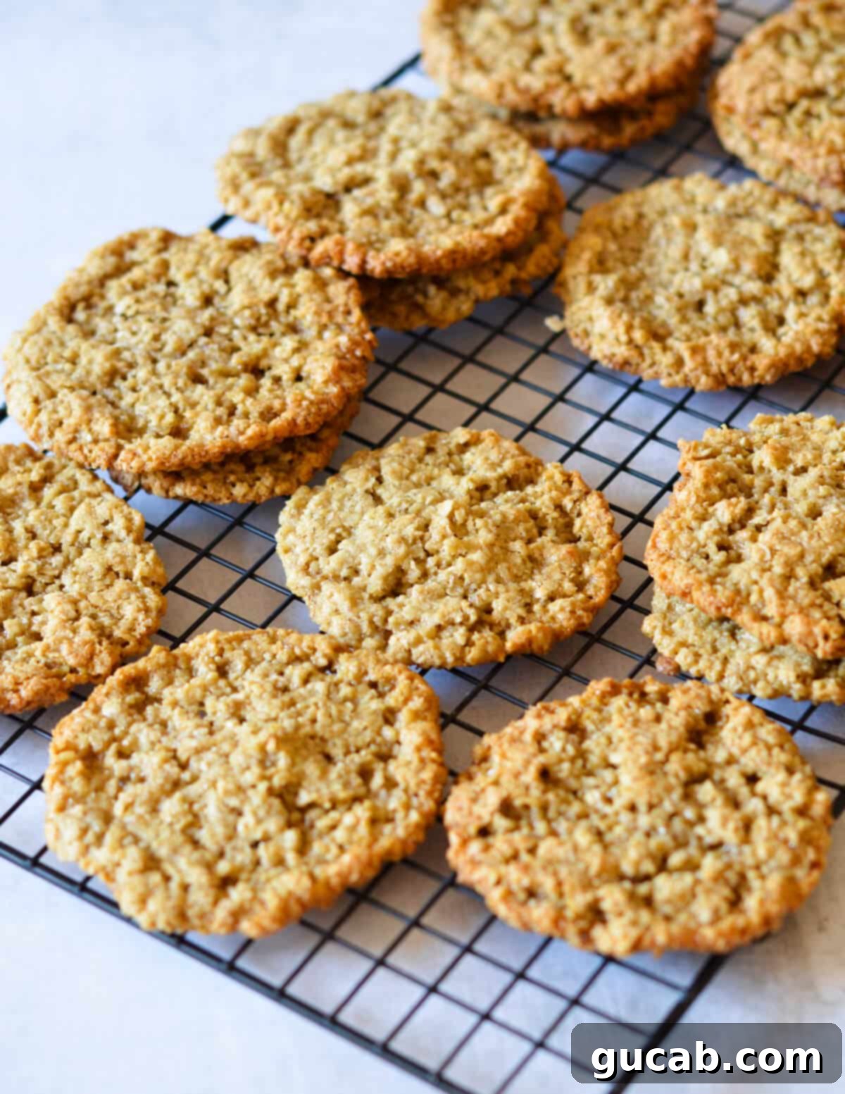 Gluten-Free Oatmeal Cookies 15 Freshly baked flourless oatmeal cookies cooling on a wire rack, allowing air circulation for even cooling.