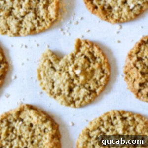 Gluten-Free Oatmeal Cookies 16 oatmeal cookie with a bite out of it.