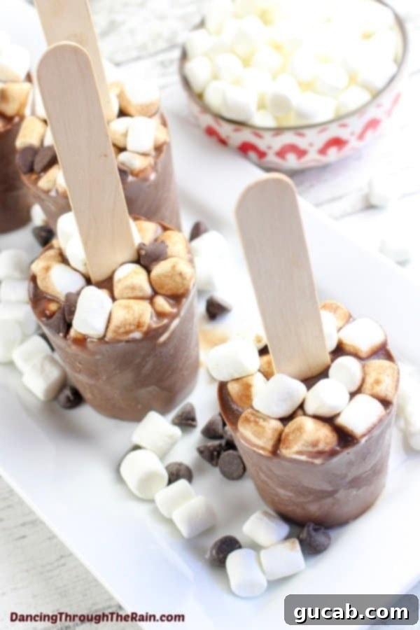 hot chocolate popsicle sticks with marshmallows. 