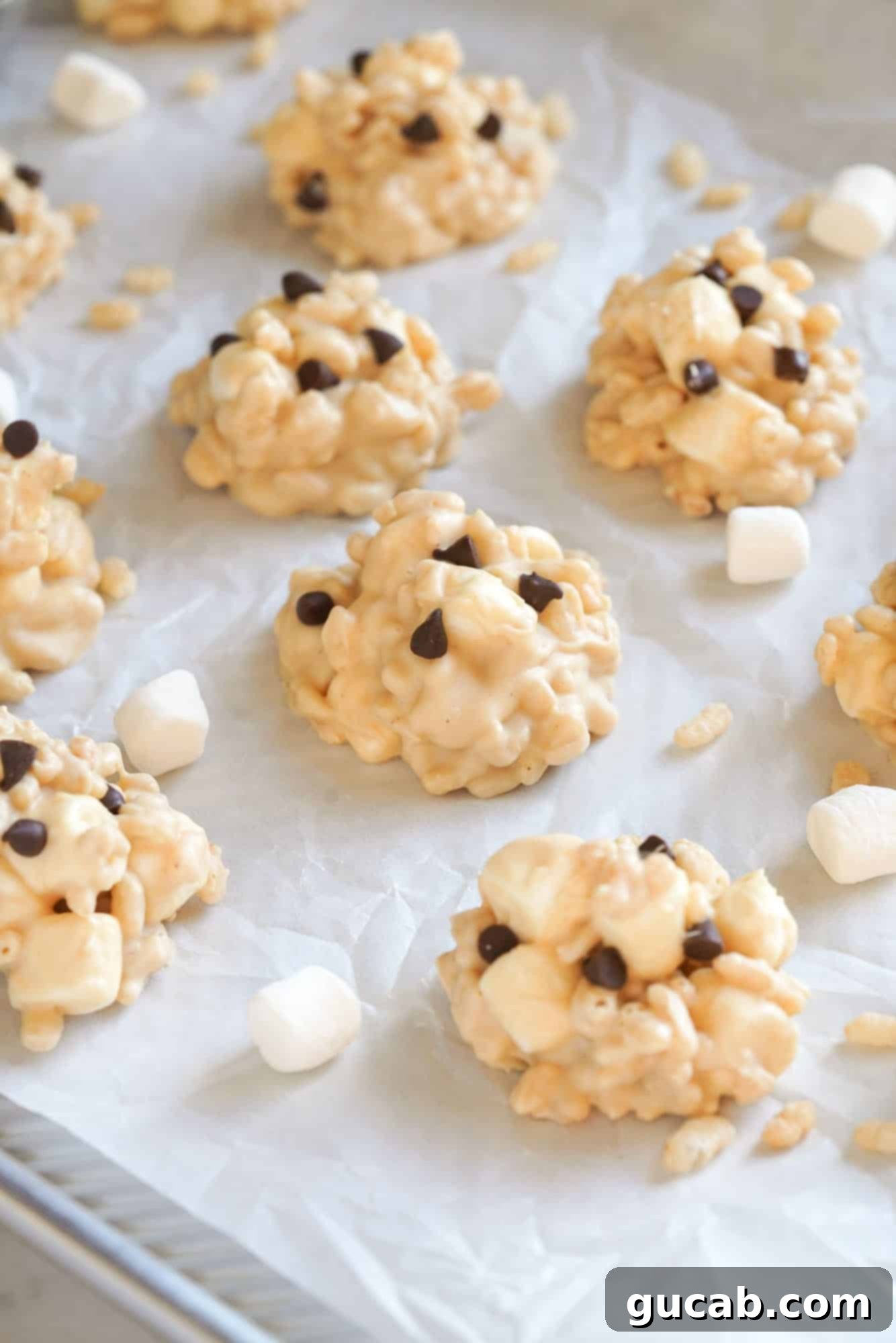 avalanche cookies with mini chocolate chips. 