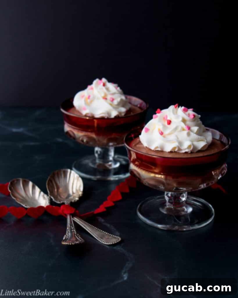 chocolate mousse with whipped cream. 