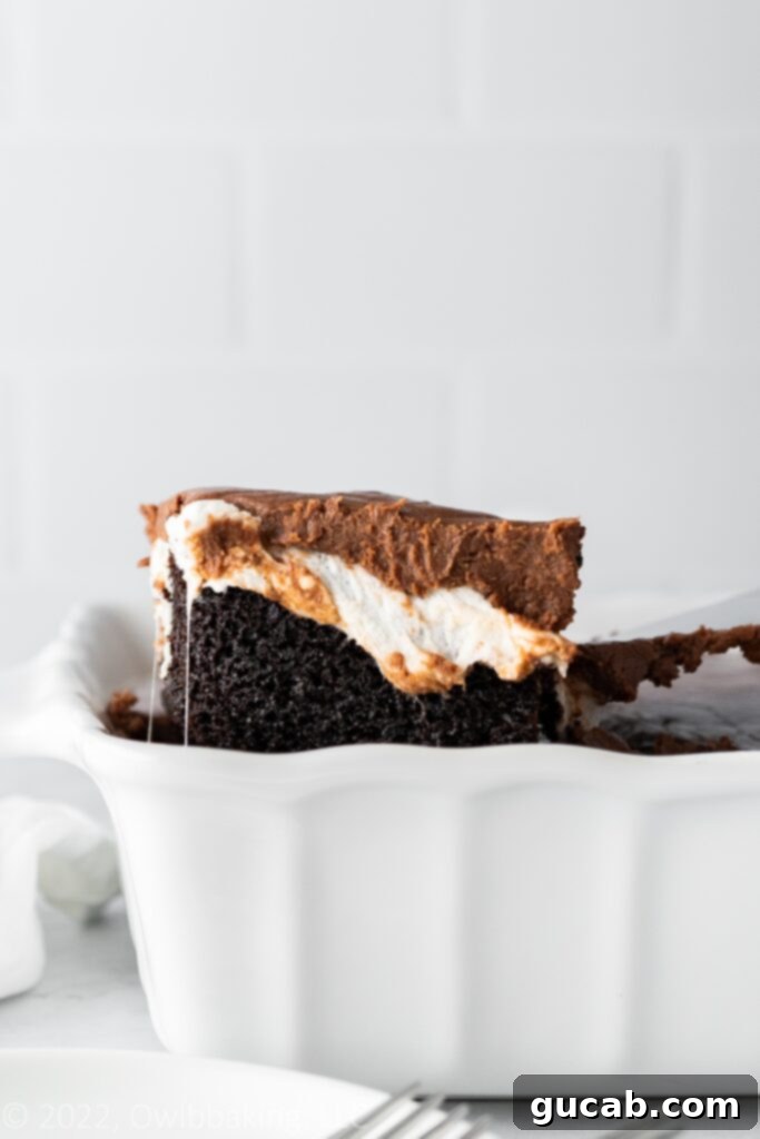 a slice of Mississippi mud cake.