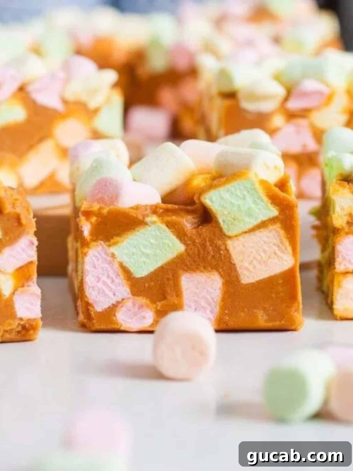 confetti square with colored marshmallows. 
