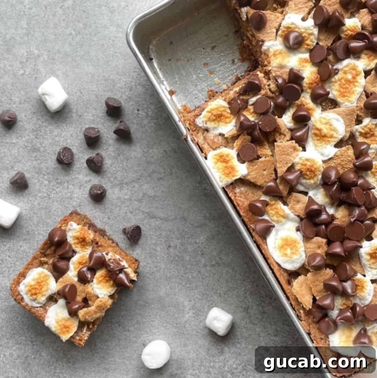 chocolate chip marshmallow bars. 