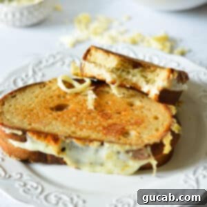 Gourmet Provolone Grilled Cheese 12 provolone grilled cheese sandwiches