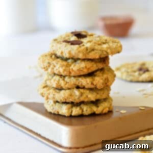 Wholesome Fiber Cookies 16 A stack of perfectly baked high fiber cookies, ready to be enjoyed.
