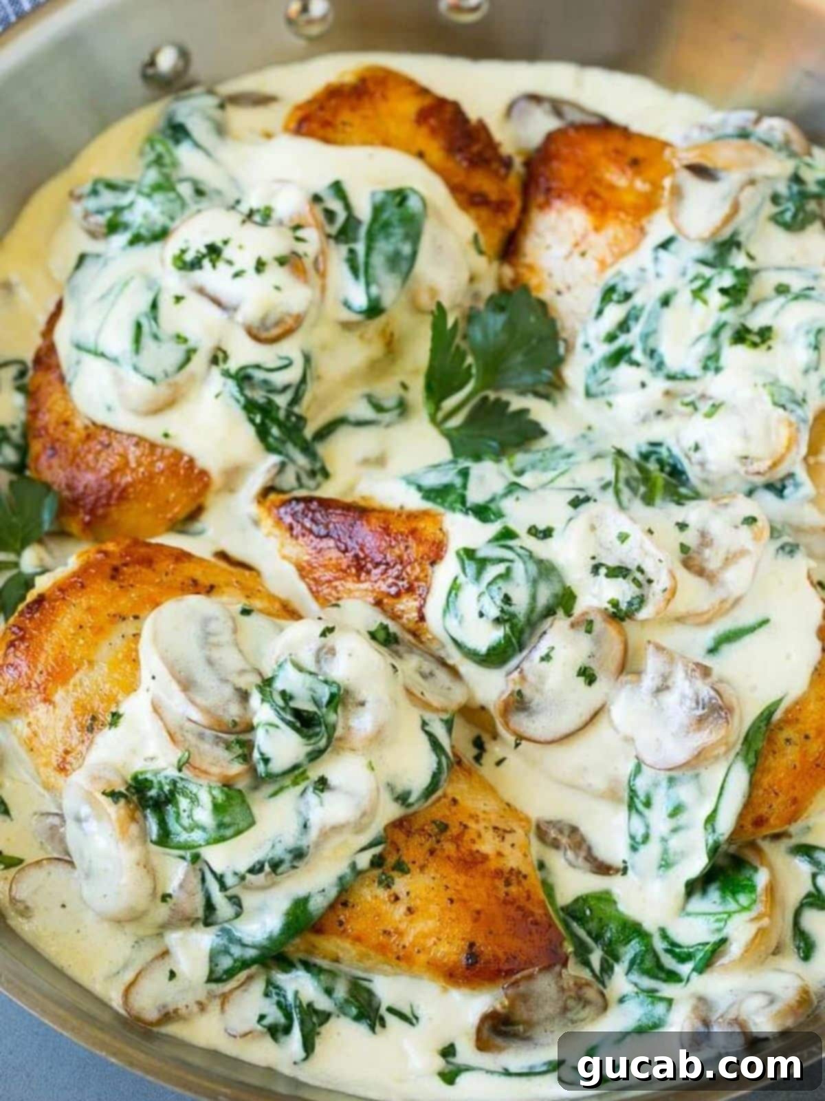 chicken Florentine with spinach cream sauce. 