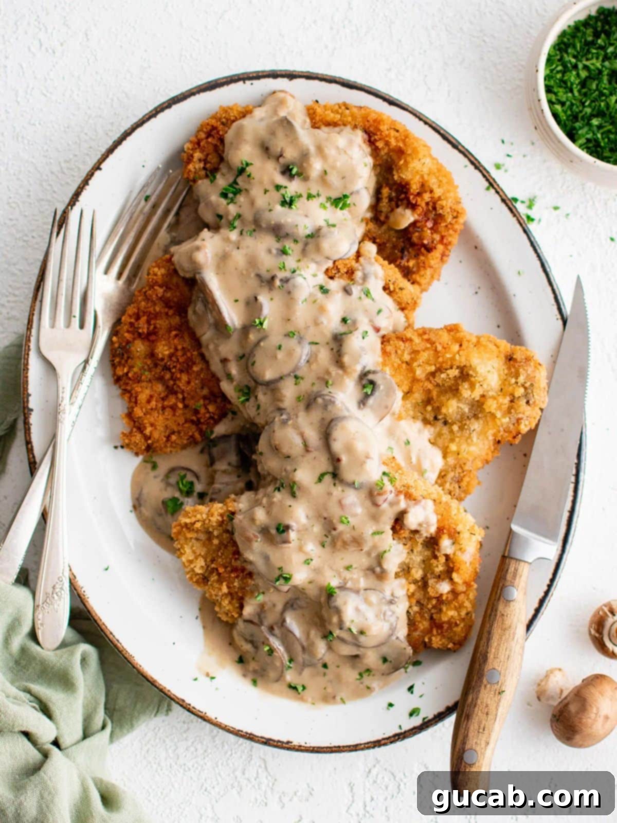 pork schnitzel with gravy.  