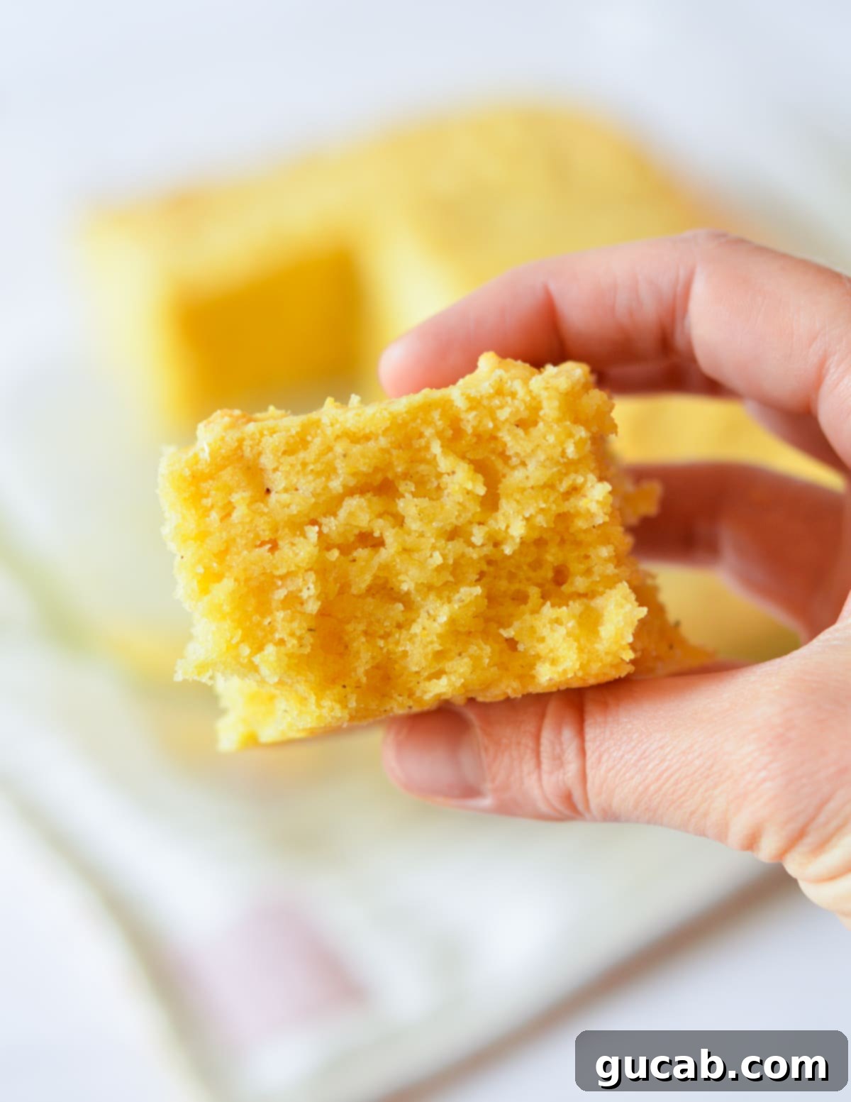 hand holding a slice of cornbread. 