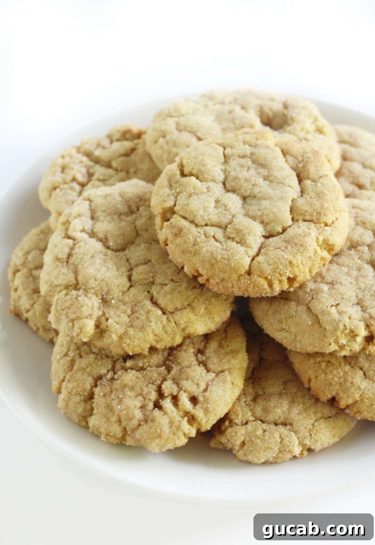 A plate of classic gluten-free snickerdoodles, coated in cinnamon sugar.