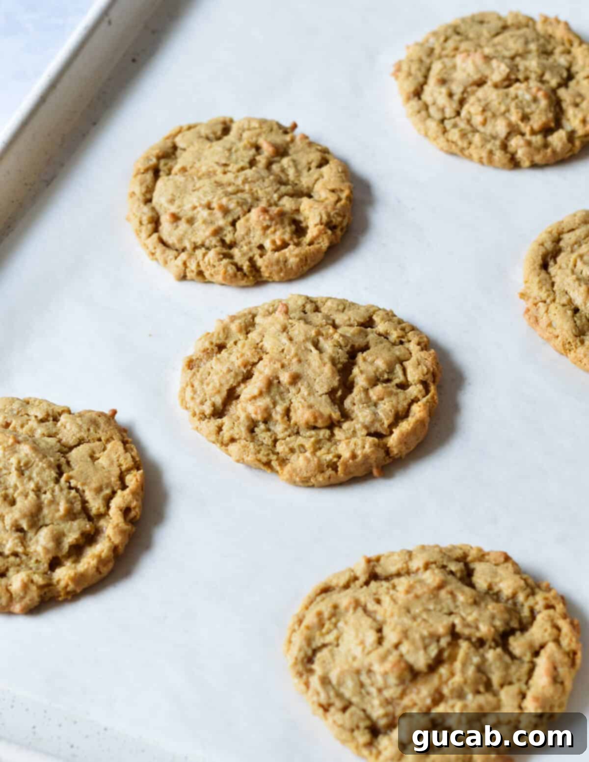 peanut butter cookies on a sheet pan. 