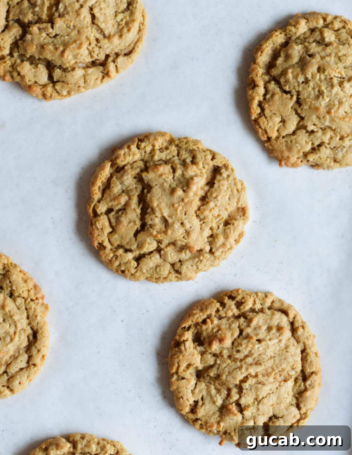 peanut butter cookies on a sheet pan. 