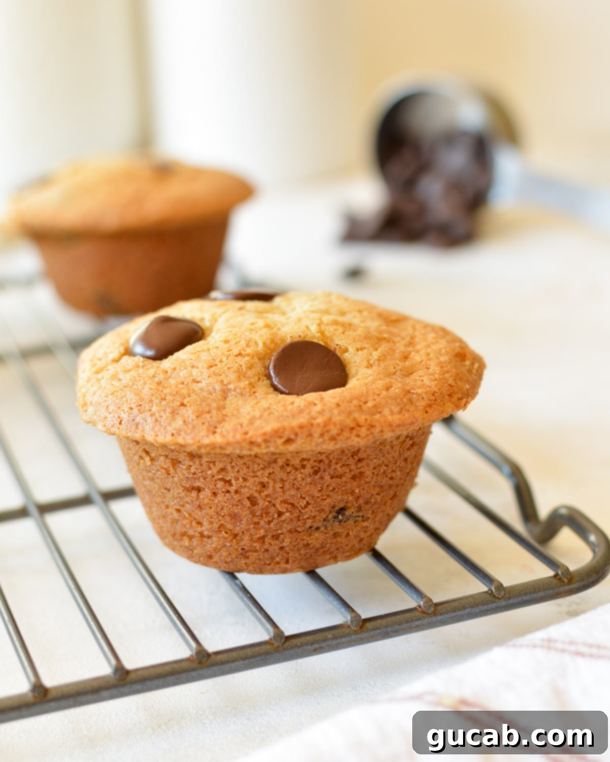 a gluten free chocolate chip muffin 
