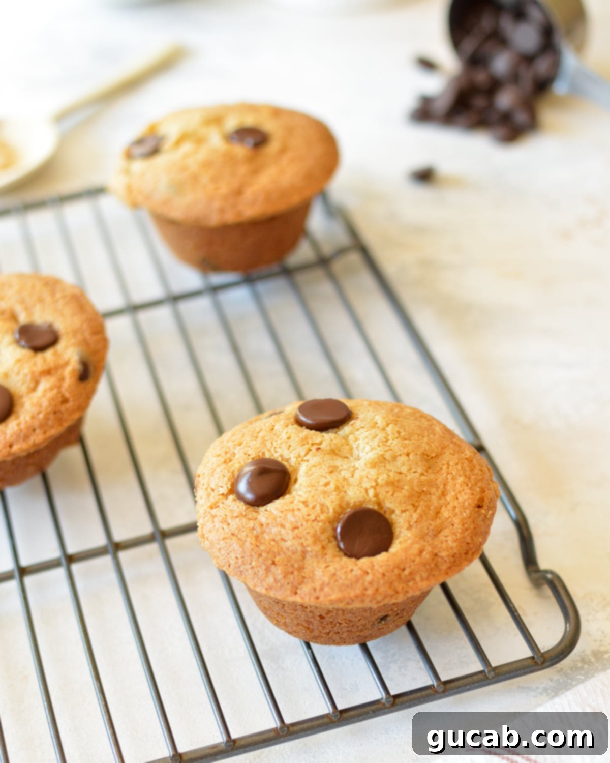 a gluten free chocolate chip muffin