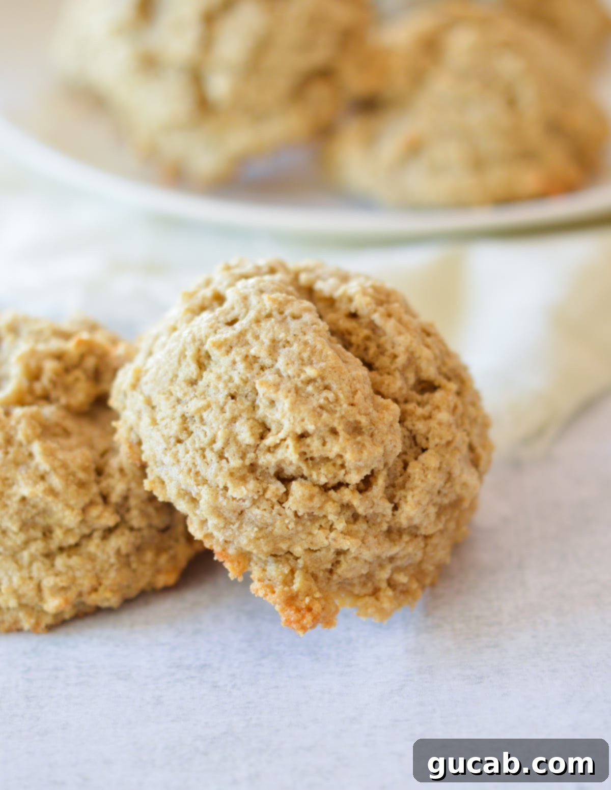 Two perfectly baked, golden-brown oat flour biscuits, ready to be enjoyed.
